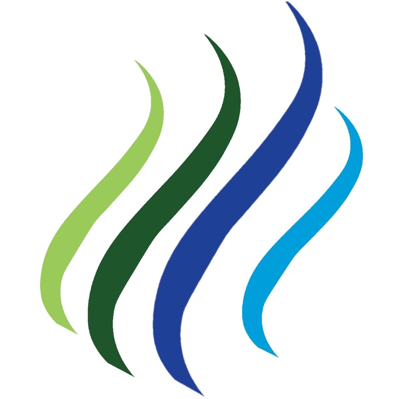 Payz FinOps Portal Logo